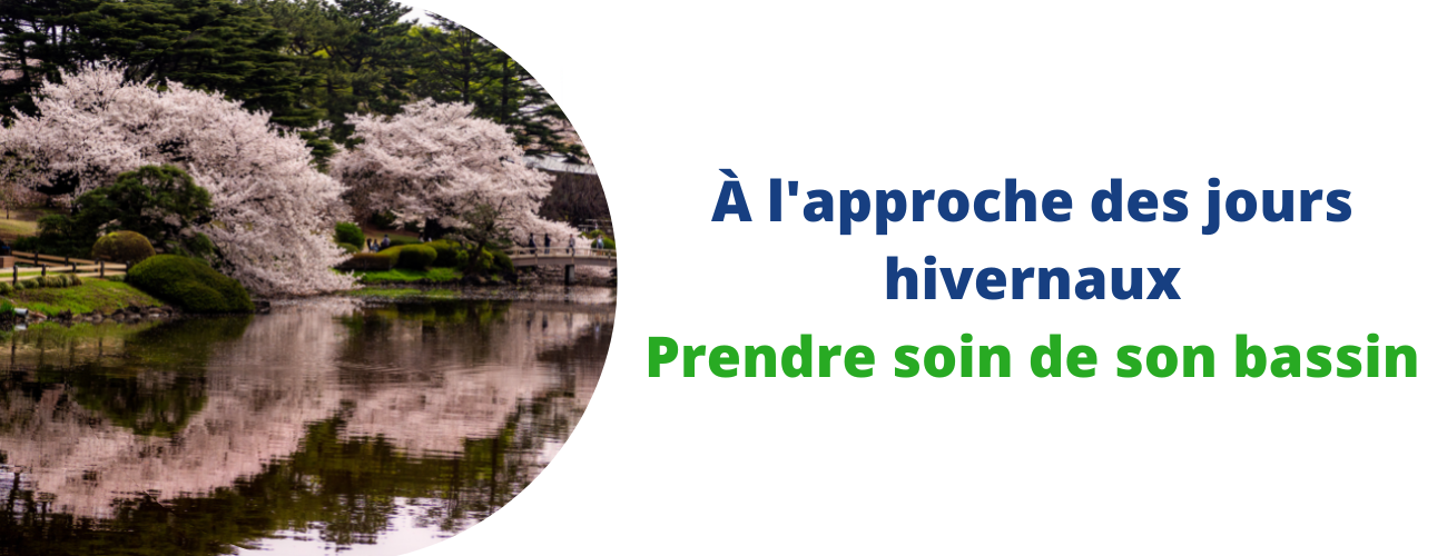 Prendre soin de son bassin